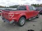 2009 FORD F-150