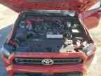 2025 TOYOTA 4Runner