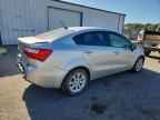 2013 KIA RIO