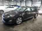2015 KIA Optima Hybrid