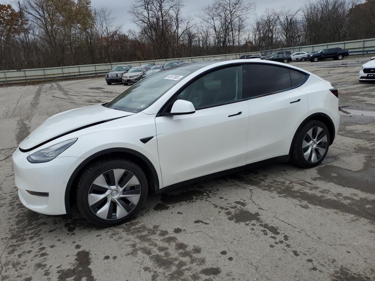 2021 TESLA MODEL Y