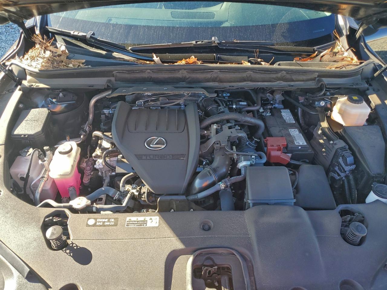 2023 LEXUS RX 350