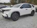 2024 HONDA PILOT