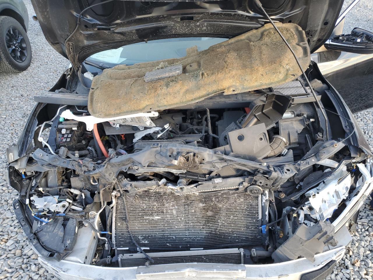 2019 HONDA Insight