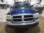 2005 DODGE Dakota
