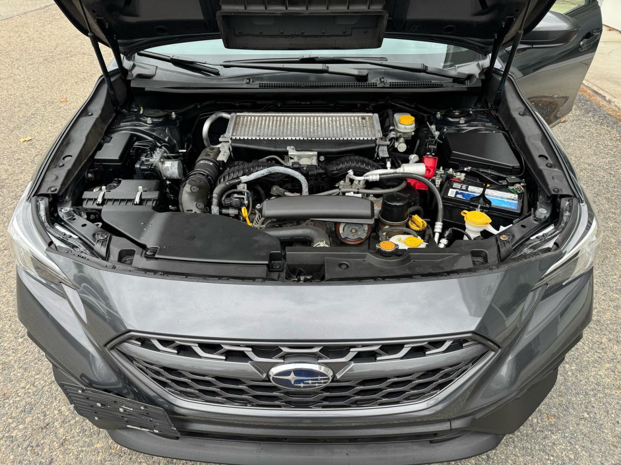 2022 SUBARU WRX