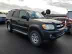 2006 TOYOTA Sequoia