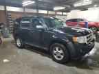 2009 FORD ESCAPE