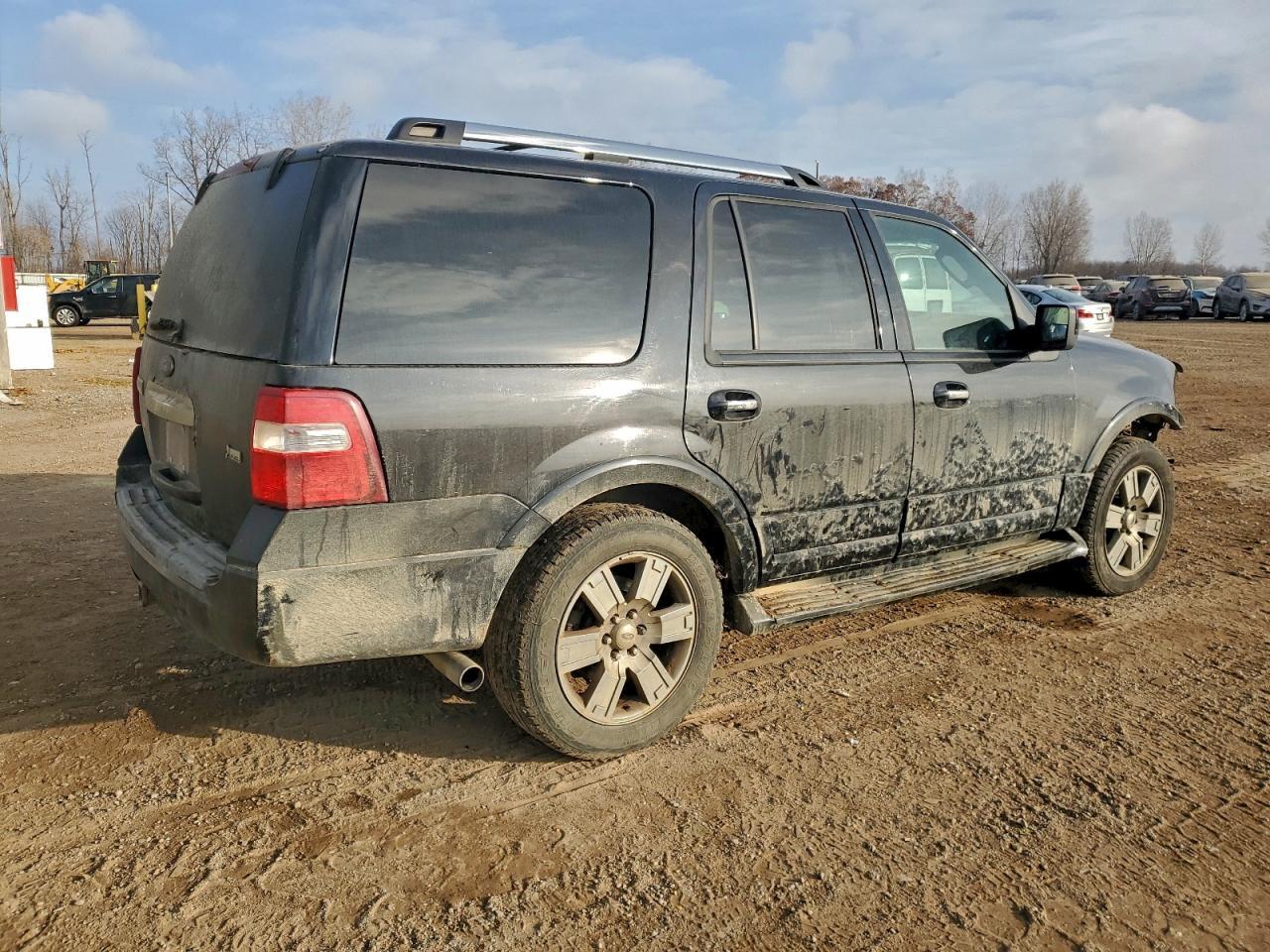 2010 FORD Expedition