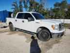2013 FORD F-150 Lightning