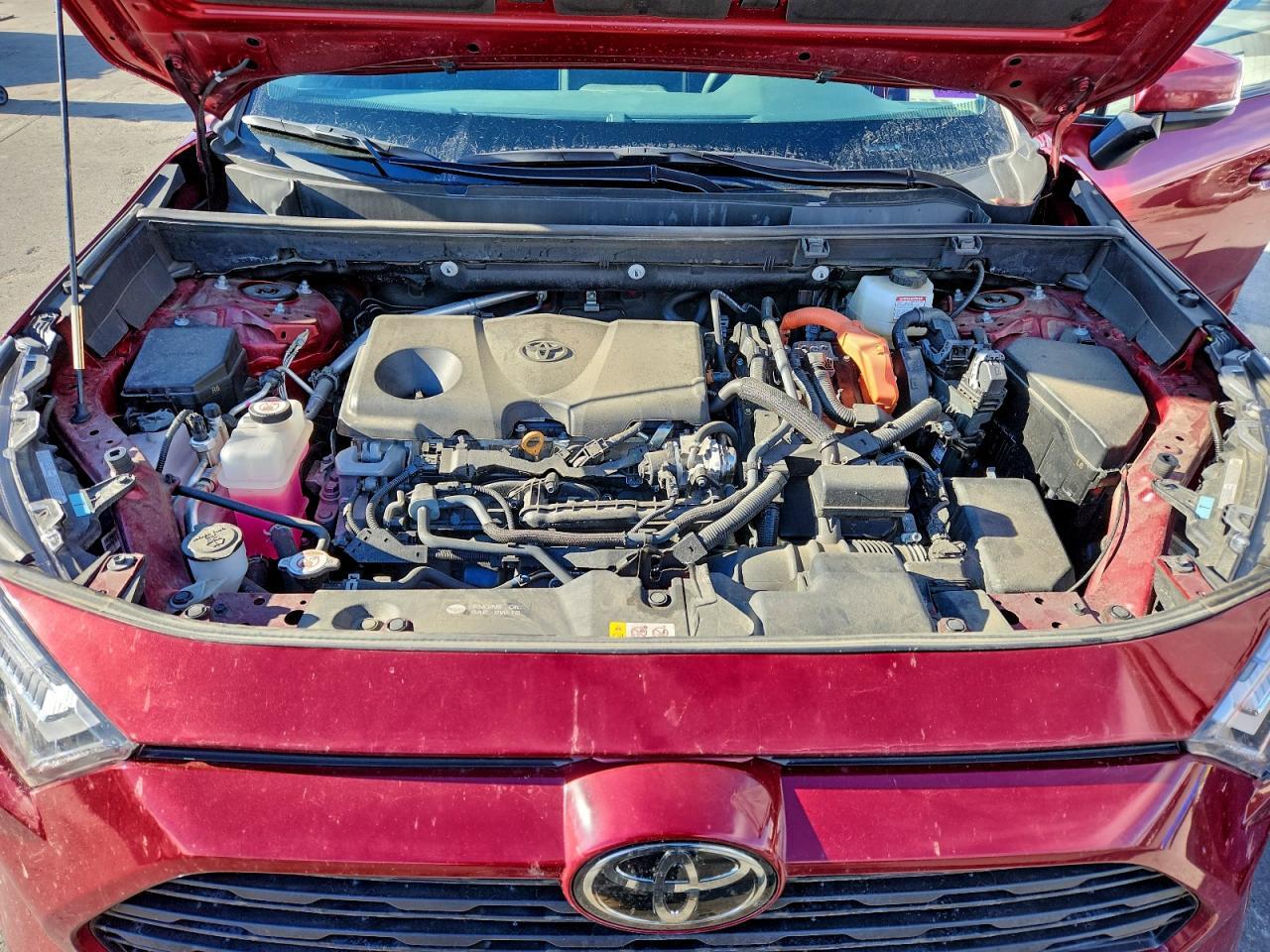 2025 TOYOTA RAV4