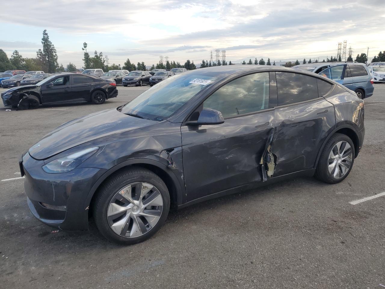 2024 TESLA MODEL Y