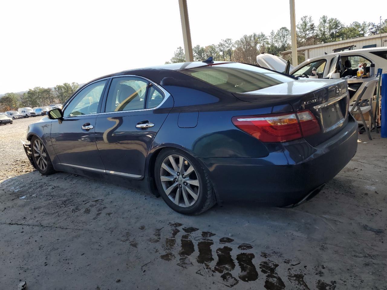 2010 LEXUS LS 460