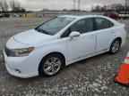 2010 LEXUS HS 250h