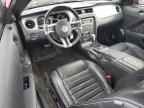 2013 FORD MUSTANG