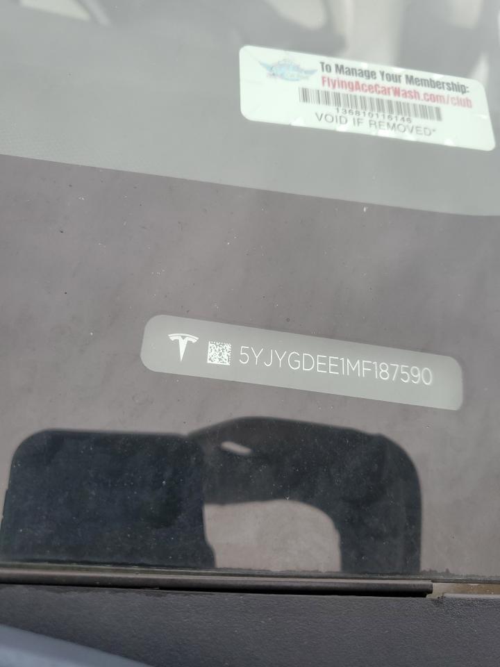 2021 TESLA MODEL Y
