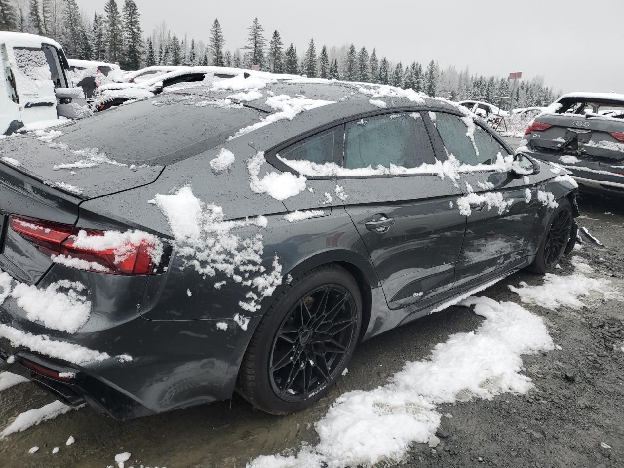2023 AUDI RS5
