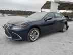 2021 LEXUS ES 350