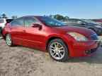 2009 NISSAN ALTIMA