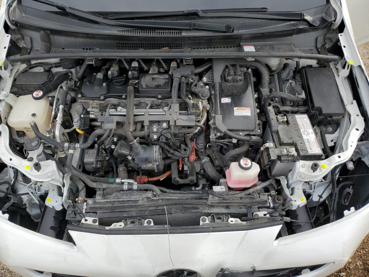 2019 TOYOTA PRIUS