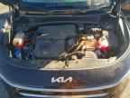 2024 KIA Niro