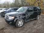 2009 FORD ESCAPE