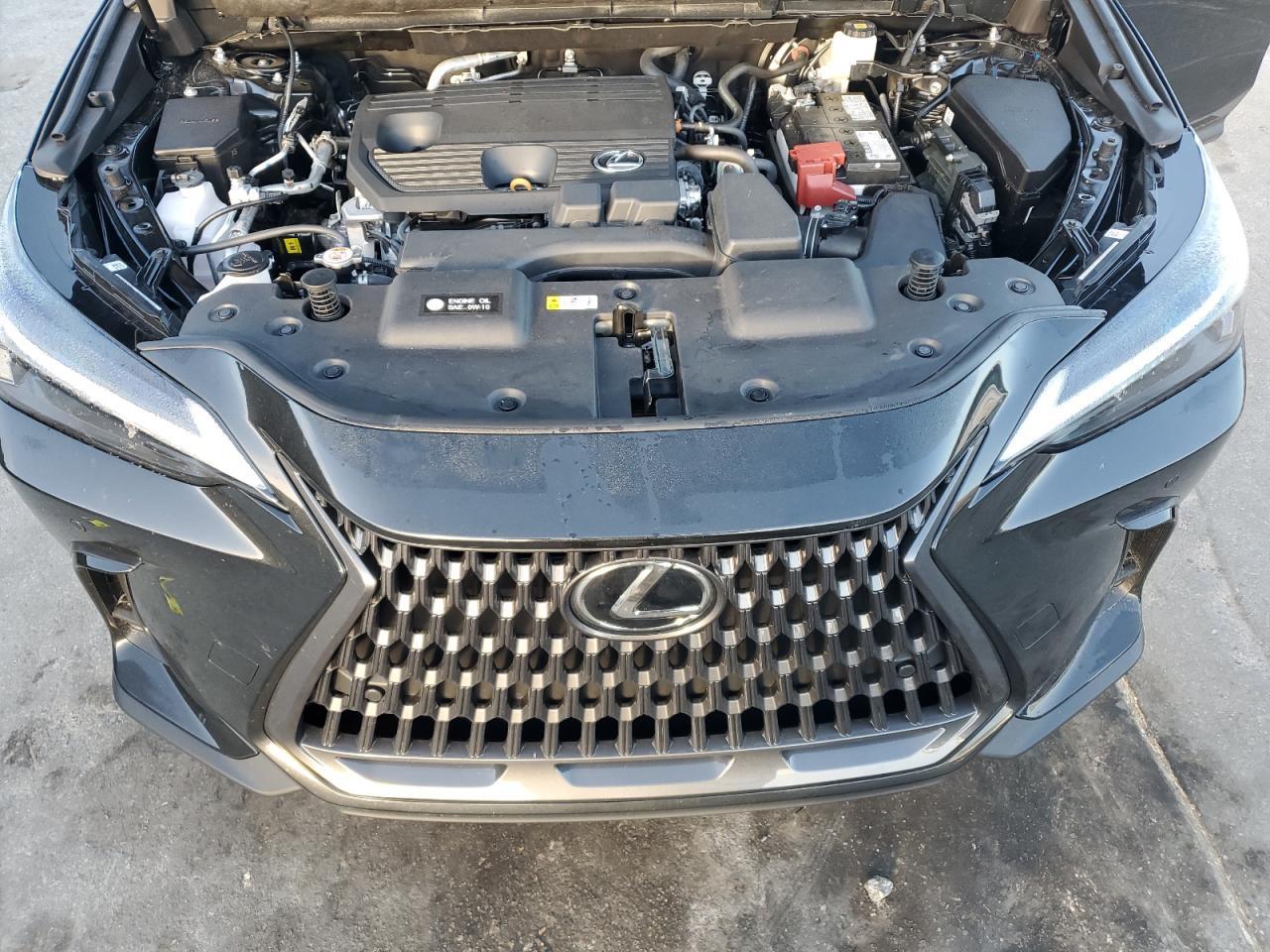 2025 LEXUS NX 250