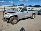 2003 DODGE Dakota