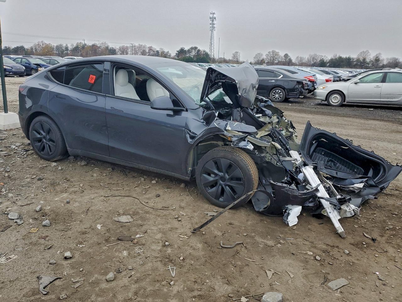 2025 TESLA MODEL Y