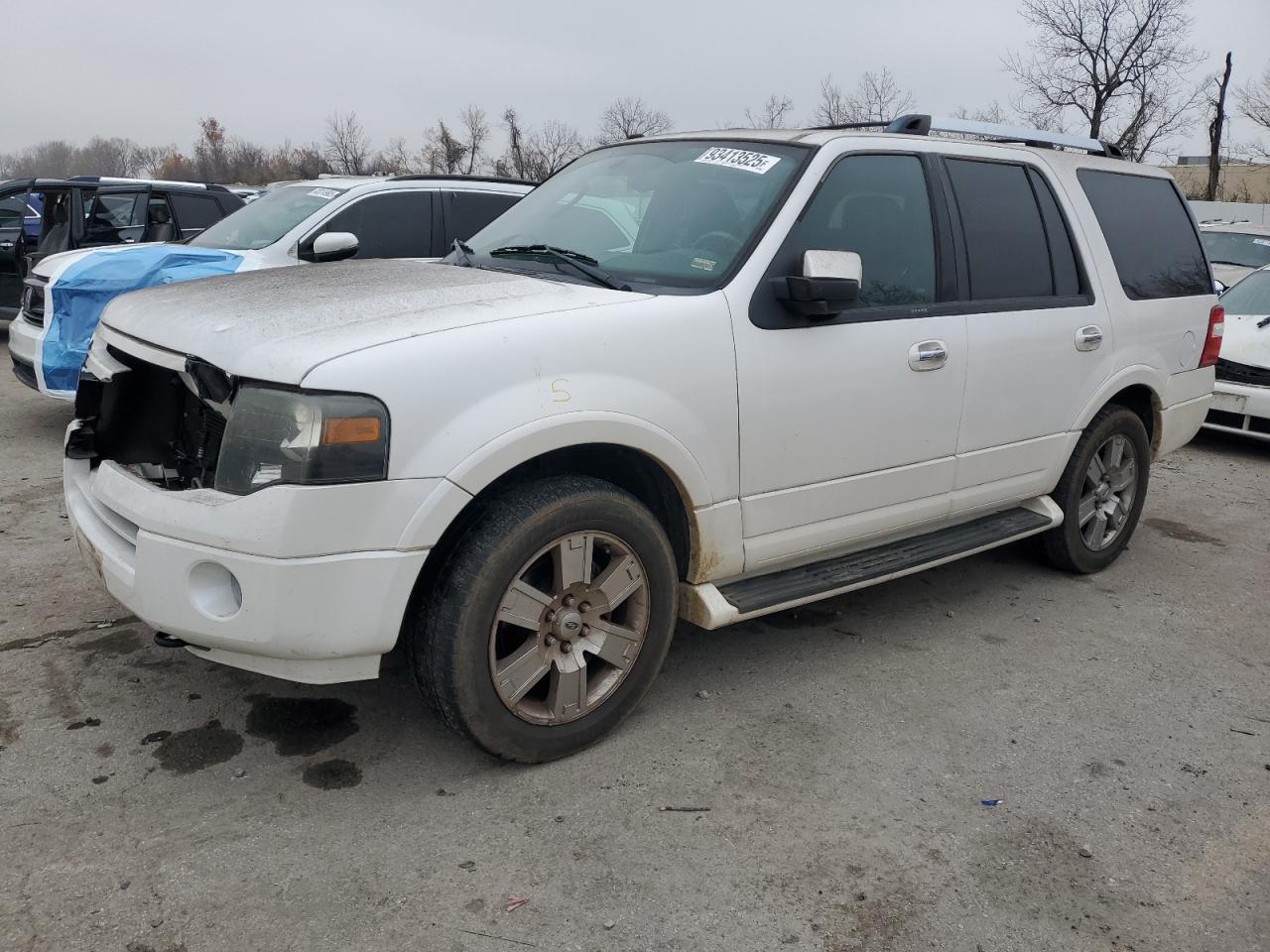 2009 FORD Expedition