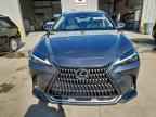 2024 LEXUS NX 250
