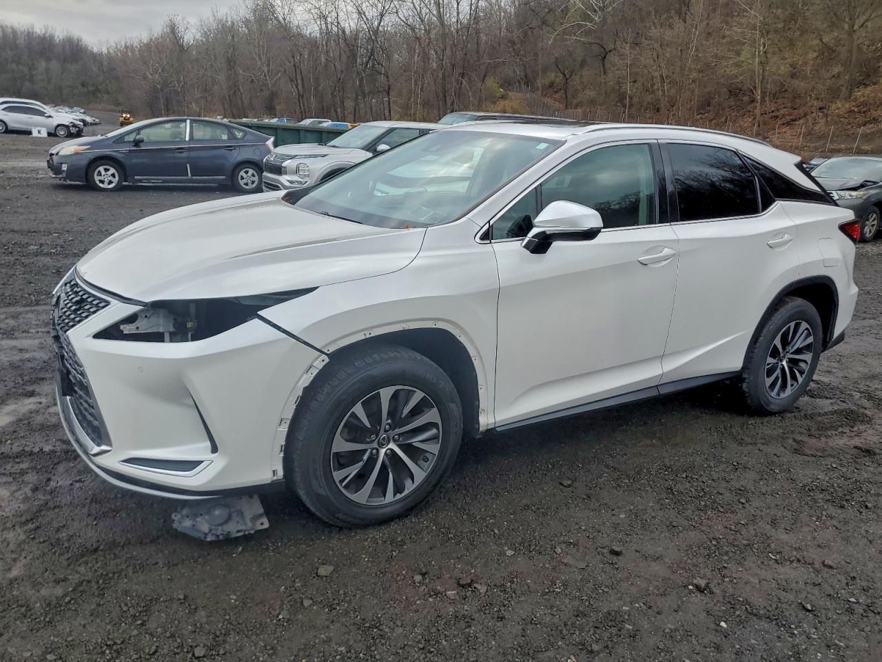 2021 LEXUS RX 350