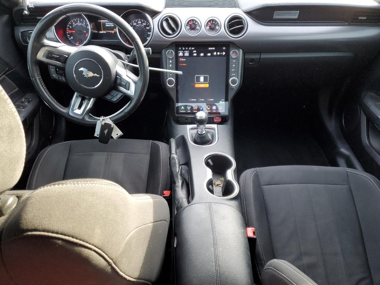 2019 FORD MUSTANG