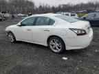2014 NISSAN Maxima