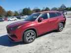 2024 TOYOTA HIGHLANDER
