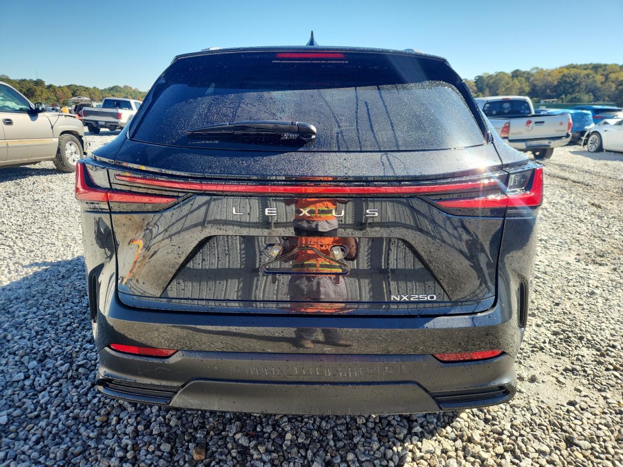 2024 LEXUS NX 250