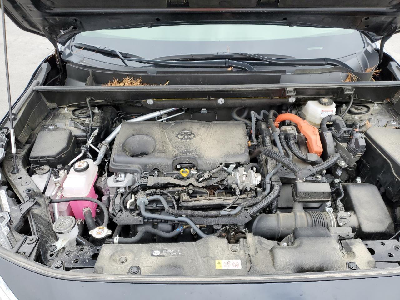 2024 TOYOTA RAV4