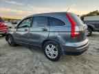 2010 HONDA CR-V