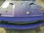 2013 DODGE Challenger