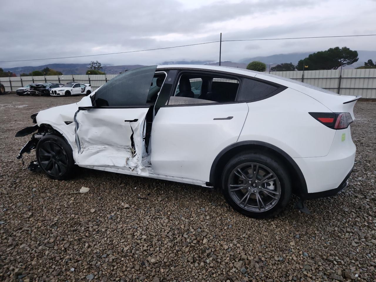 2024 TESLA MODEL Y
