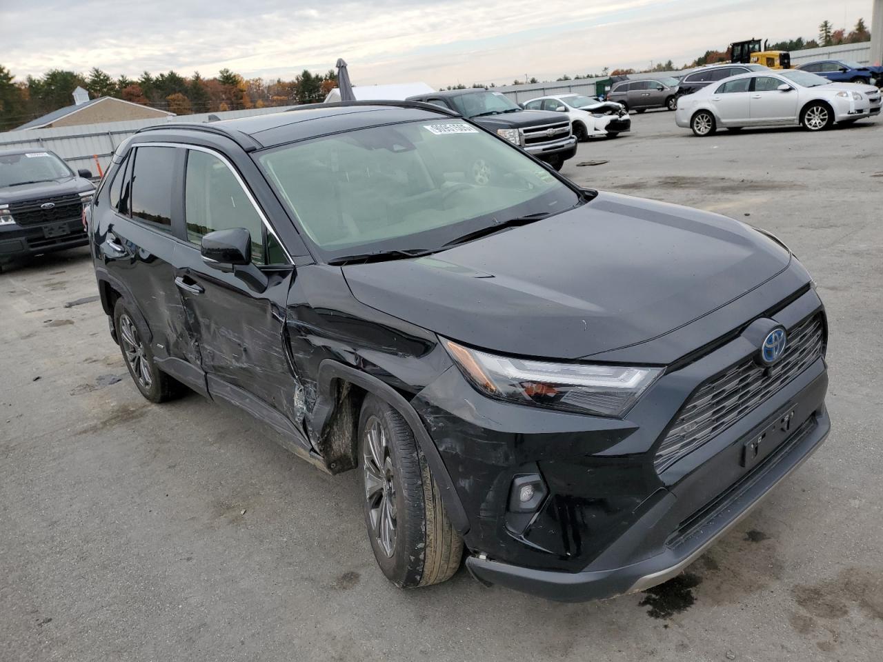 2024 TOYOTA RAV4