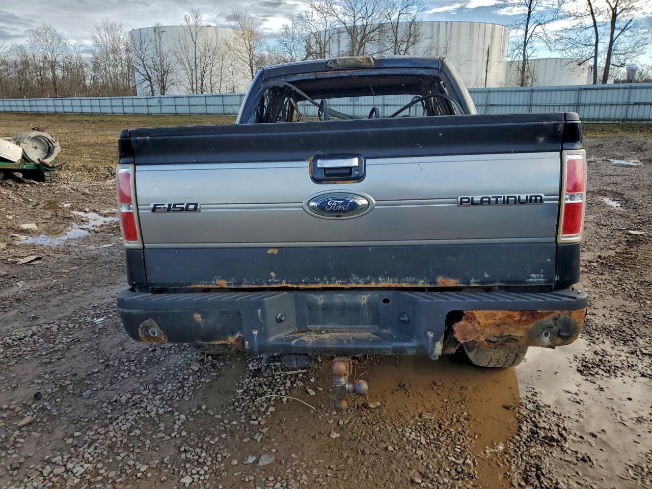 2010 FORD F-150