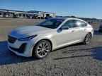 2023 CADILLAC CT5