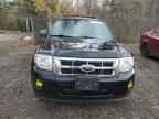 2009 FORD ESCAPE