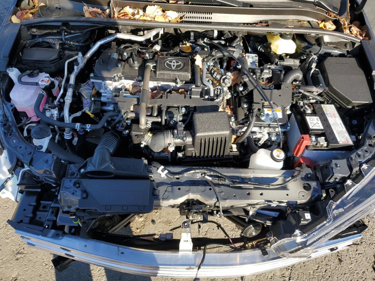 2025 TOYOTA COROLLA