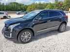 2019 CADILLAC XT5