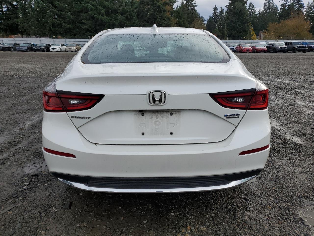 2019 HONDA Insight