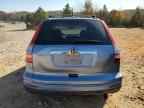 2010 HONDA CR-V