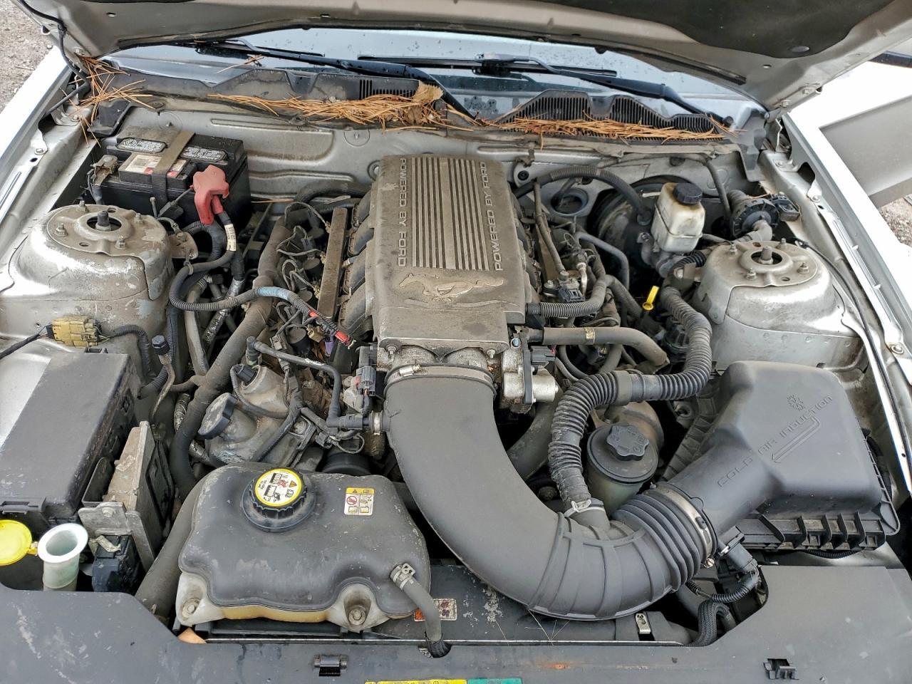 2010 FORD MUSTANG
