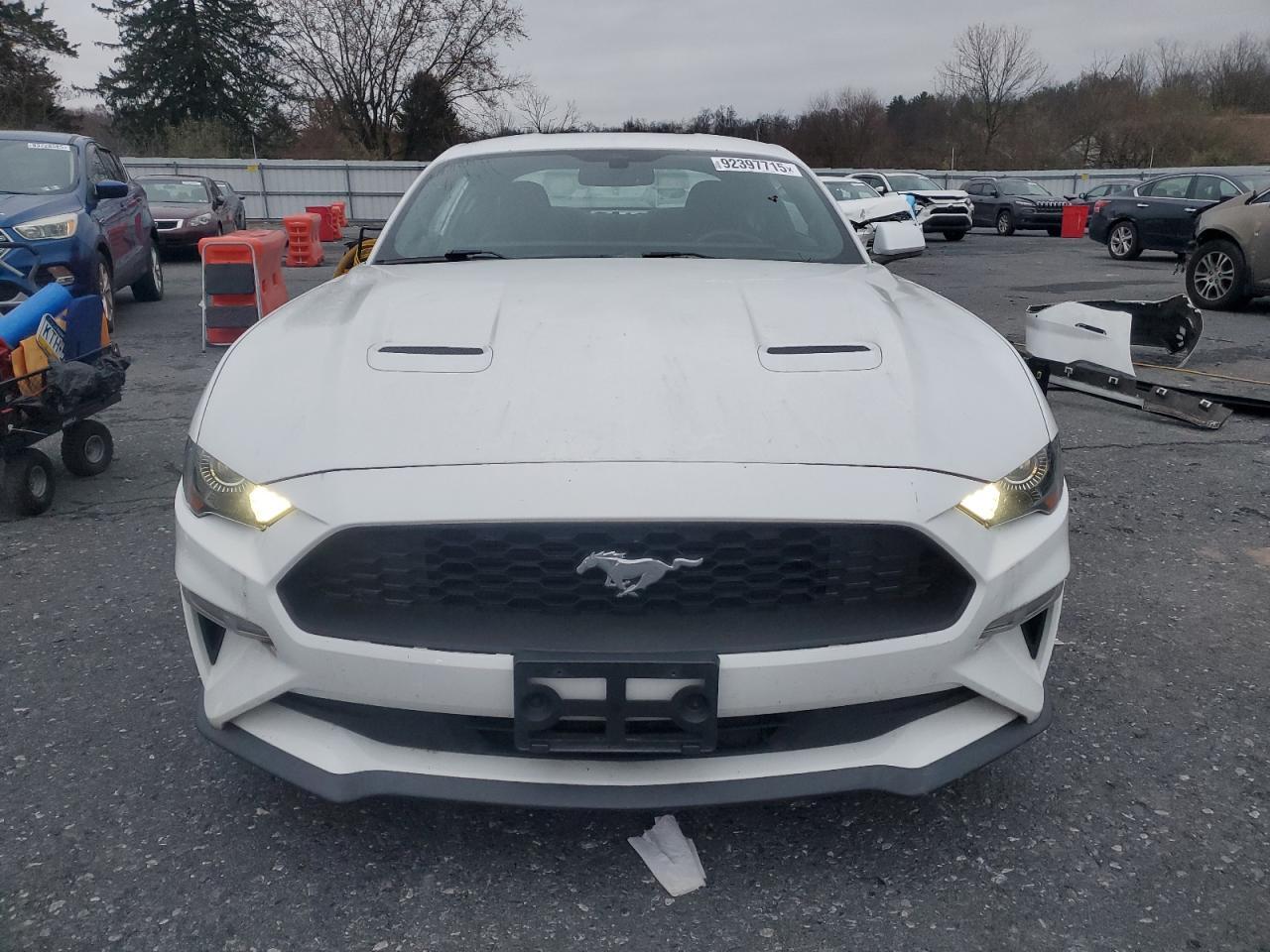 2019 FORD MUSTANG